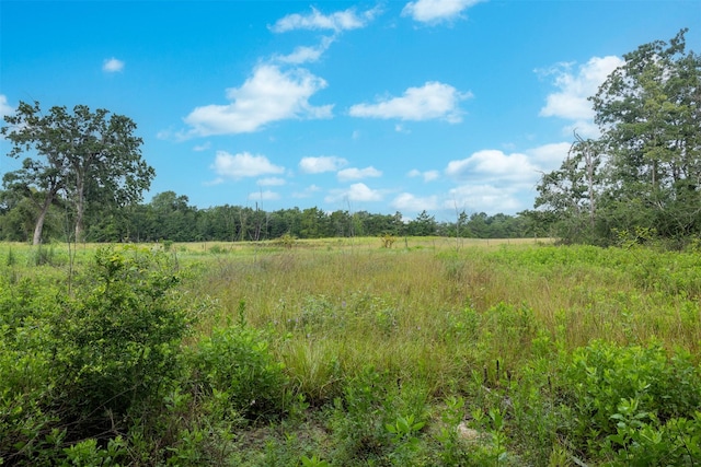 TBD Homestead Ln, Burton, TX 77835 - photo 6