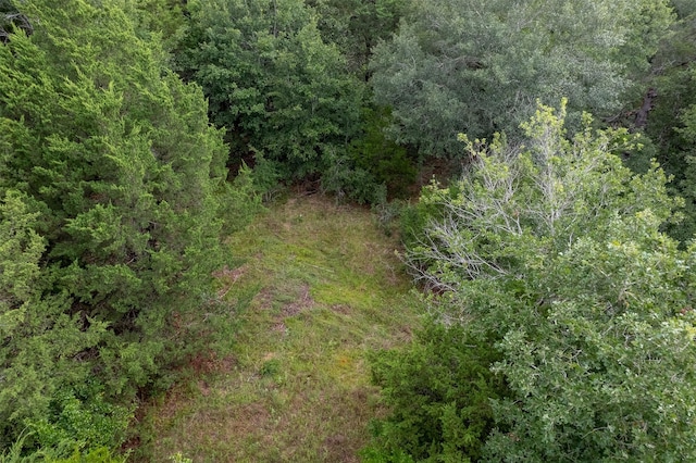 TBD Homestead Ln, Burton, TX 77835 - photo 7