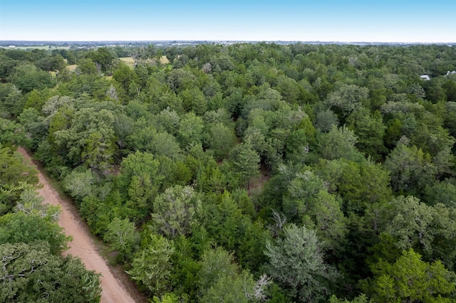 TBD Homestead Ln, Burton, TX 77835 - photo 9