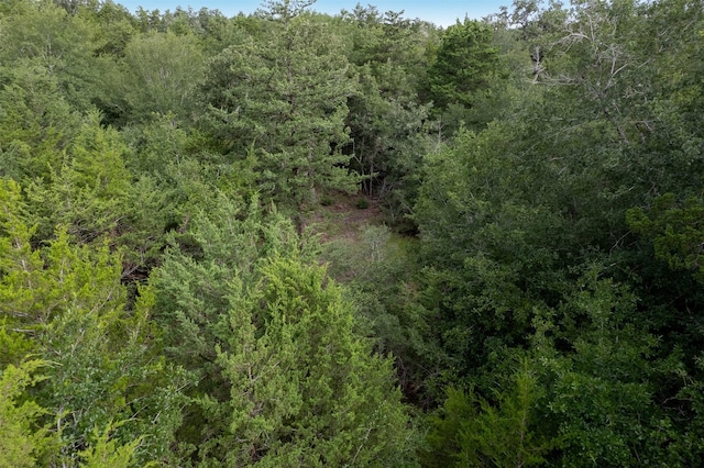 TBD Homestead Ln, Burton, TX 77835 - photo 10