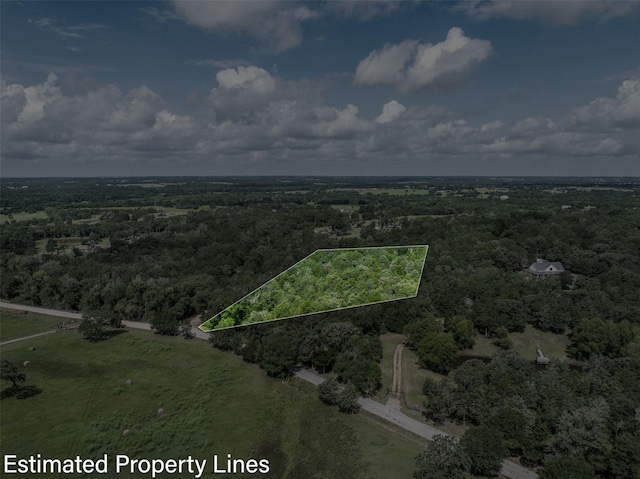 TBD Homestead Ln, Burton, TX 77835 - photo 14