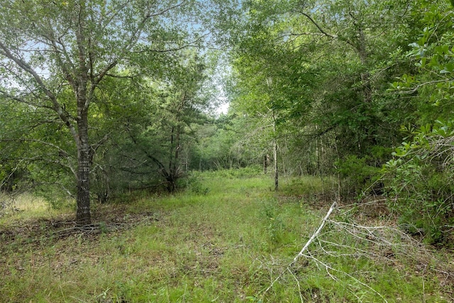TBD Homestead Ln, Burton, TX 77835 - photo 18