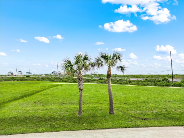 25610 Spotted Sandpiper Dr, Galveston, TX 77554 - photo 14
