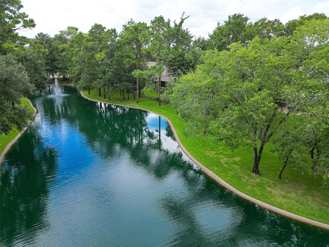 9427 Fern Wood Frst, Houston, TX 77040 - water view