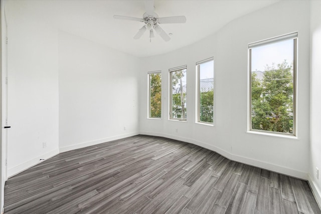 3735 University Blvd, Houston, TX 77005 - photo 24