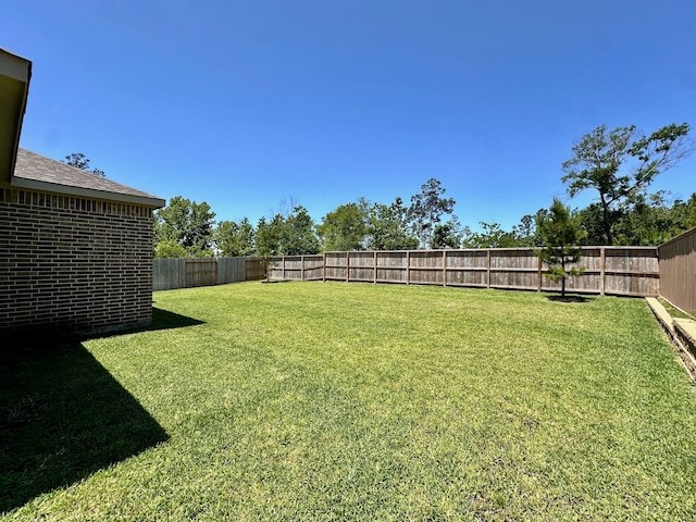 6213 White Spruce Dr, Conroe, TX 77304 - photo 5