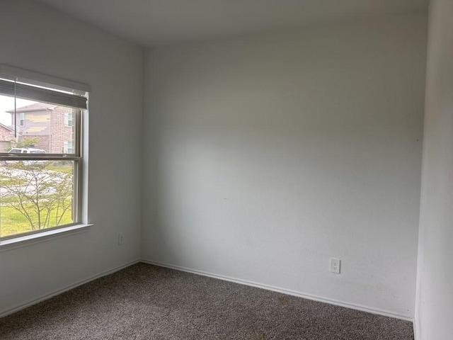 14217 Dream Rd, New Caney, TX 77357 - carpeted empty room with healthy amount of natural light