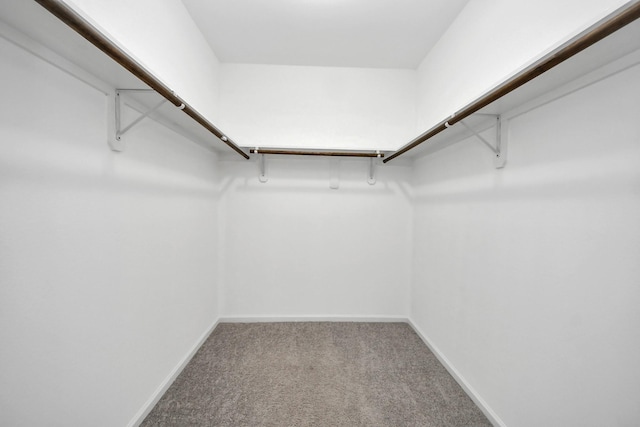 9805 Kerr, Houston, TX 77029 - spacious closet with carpet