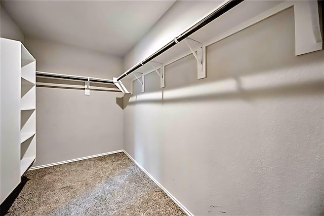 22835 Berthoud Trl, Spring, TX 77373 - spacious closet featuring carpet flooring
