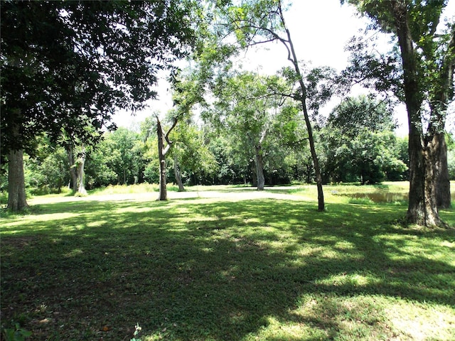 637 County Road 728b, Sweeny, TX 77480 - photo 15