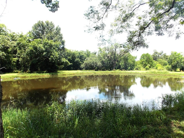 637 County Road 728b, Sweeny, TX 77480 - photo 16