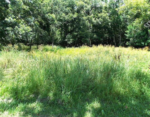 637 County Road 728b, Sweeny, TX 77480 - photo 17
