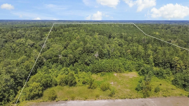 0 County Road 4090, Woodville, TX 75979 - photo 2
