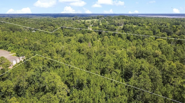 0 County Road 4090, Woodville, TX 75979 - photo 4