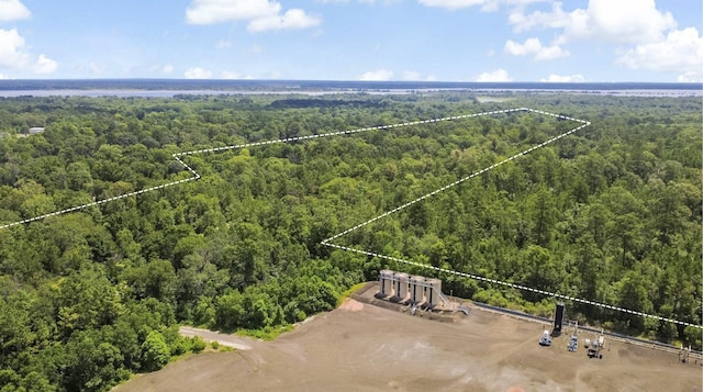 0 County Road 4090, Woodville, TX 75979 - photo 5