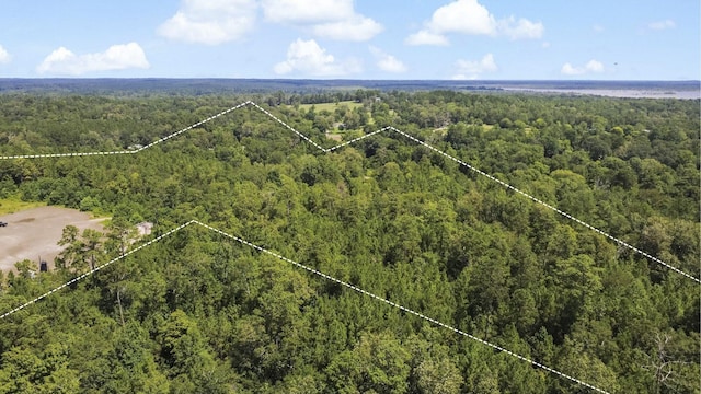 0 County Road 4090, Woodville, TX 75979 - photo 6