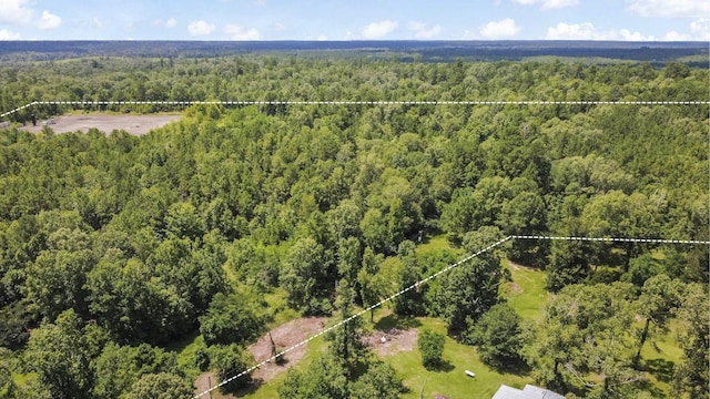 0 County Road 4090, Woodville, TX 75979 - photo 7