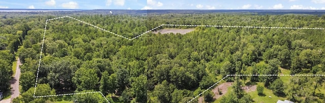 0 County Road 4090, Woodville, TX 75979 - photo 1