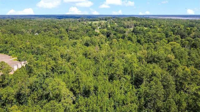 0 County Road 4090, Woodville, TX 75979 - photo 9