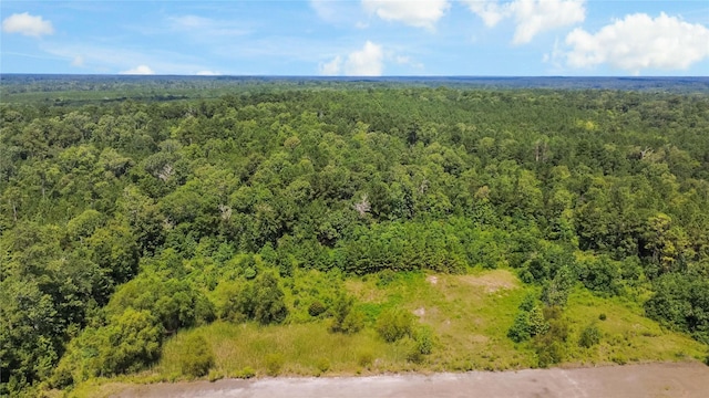 0 County Road 4090, Woodville, TX 75979 - photo 10