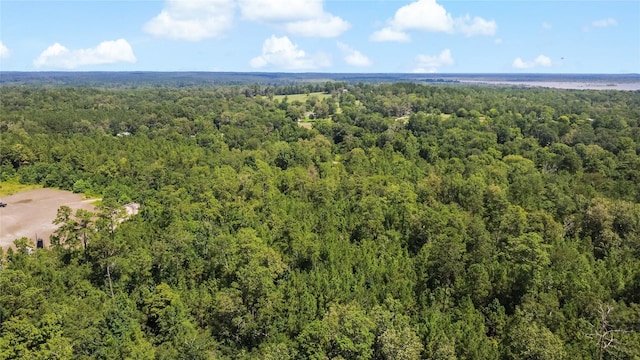 0 County Road 4090, Woodville, TX 75979 - photo 11