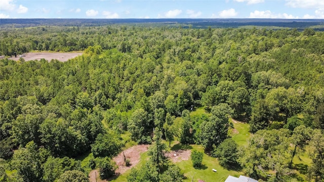 0 County Road 4090, Woodville, TX 75979 - photo 12