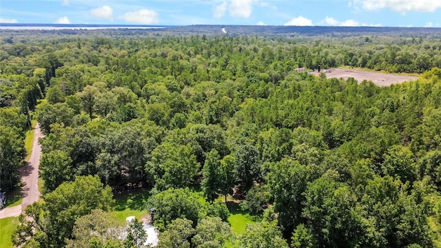0 County Road 4090, Woodville, TX 75979 - photo 13
