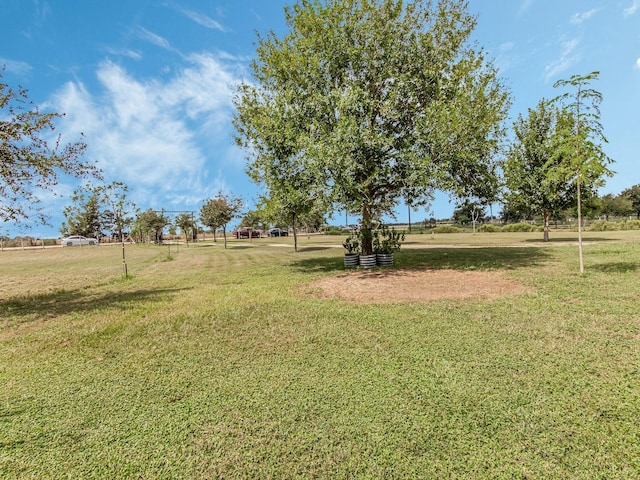 2234 Hopkins Rd, Beasley, TX 77417 - photo 40