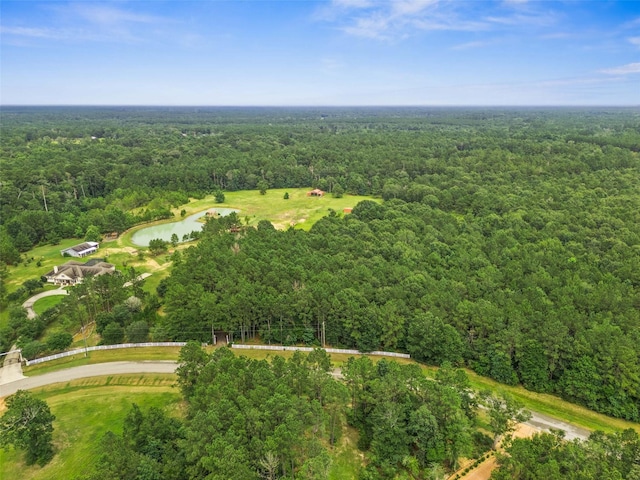 4464 N Duck Creek Rd, Cleveland, TX 77328 - photo 17