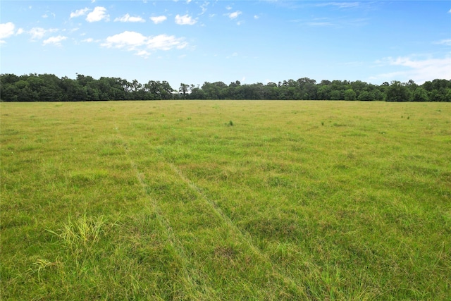 0 County Road 2084th St, Liberty, TX 77575 - photo 6