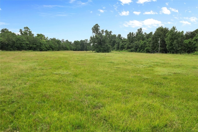 0 County Road 2084th St, Liberty, TX 77575 - photo 7