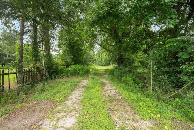 0 County Road 2084th St, Liberty, TX 77575 - photo 3