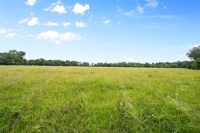0 County Road 2084th St, Liberty, TX 77575 - photo 8