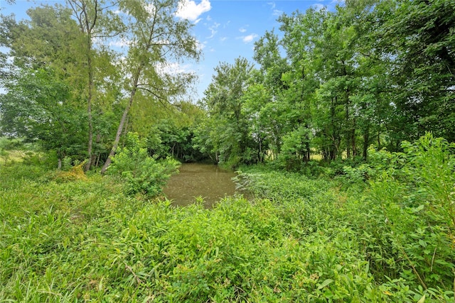 0 County Road 2084th St, Liberty, TX 77575 - photo 10