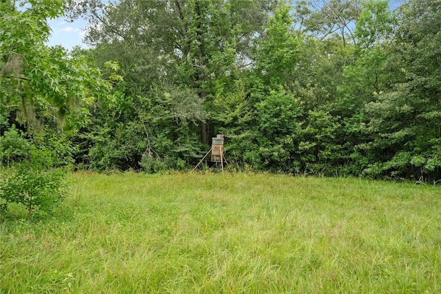 0 County Road 2084th St, Liberty, TX 77575 - photo 13