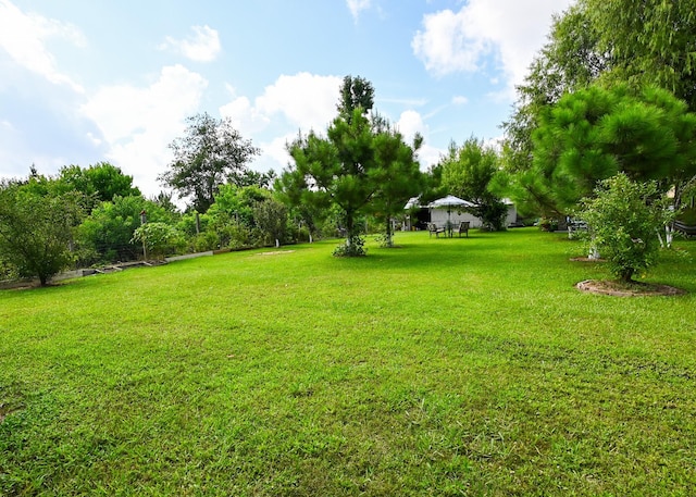 1229 County Road 5015, Cleveland, TX 77327 - photo 36