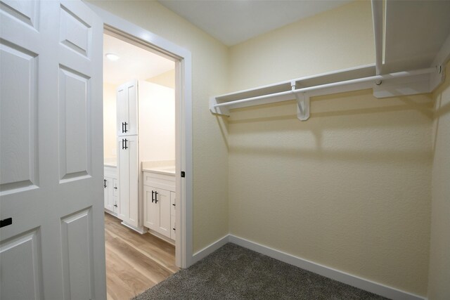 18719 Ratho Ct, Conroe, TX 77306 - photo 25