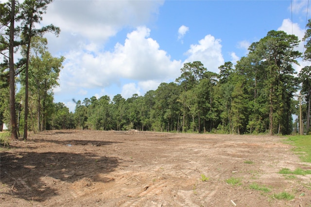 TBD Highway 150, Coldspring, TX 77331 - photo 2