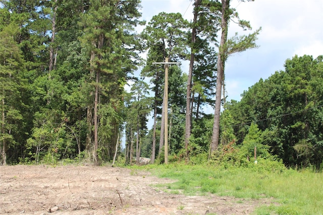 TBD Highway 150, Coldspring, TX 77331 - photo 3