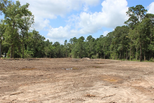 TBD Highway 150, Coldspring, TX 77331 - photo 1