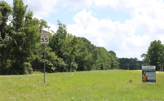 TBD Highway 150, Coldspring, TX 77331 - photo 4