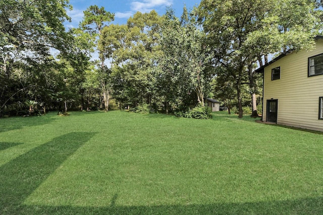 25311 Bancock Ct, Magnolia, TX 77355 - photo 34
