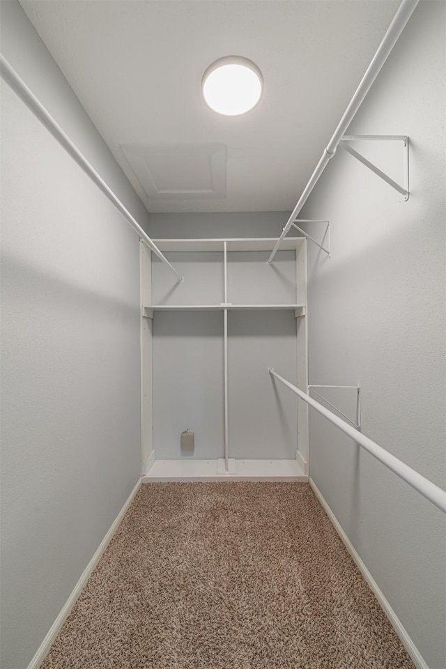 800 Country Place Dr Unit 601, Houston, TX 77079 - photo 15