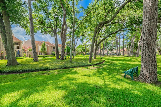800 Country Place Dr Unit 601, Houston, TX 77079 - photo 22