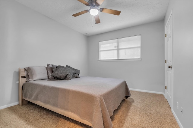 923 Paradise Ln, Montgomery, TX 77356 - photo 19