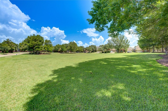 7014 Marble Springs Dr, Katy, TX 77494 - photo 45