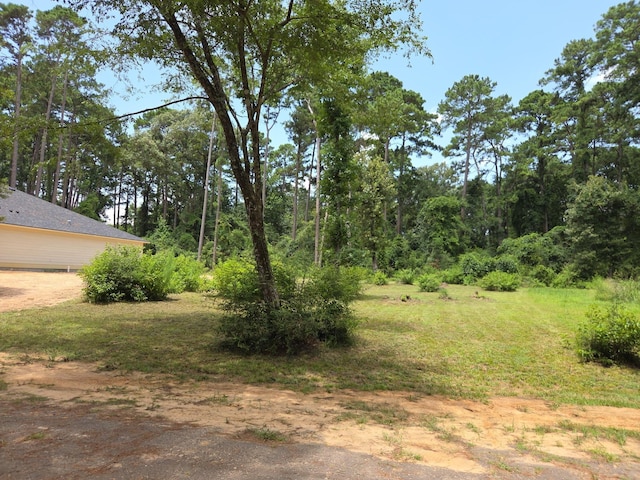 TR28 Oak Pine Dr, Livingston, TX 77351 - photo 1