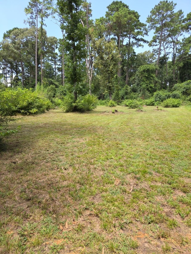 TR28 Oak Pine Dr, Livingston, TX 77351 - photo 5