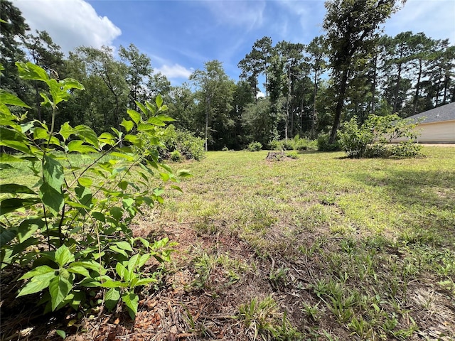 TR28 Oak Pine Dr, Livingston, TX 77351 - photo 8