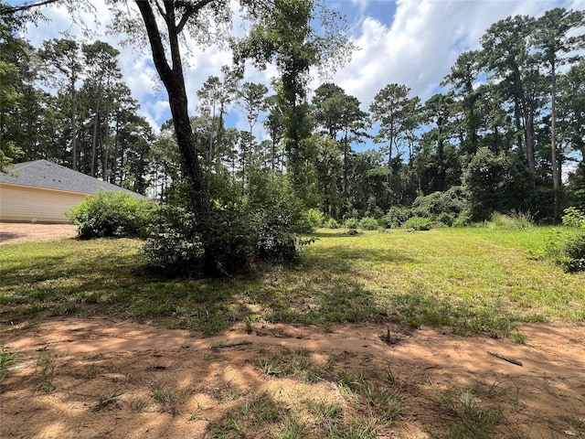 TR28 Oak Pine Dr, Livingston, TX 77351 - photo 4